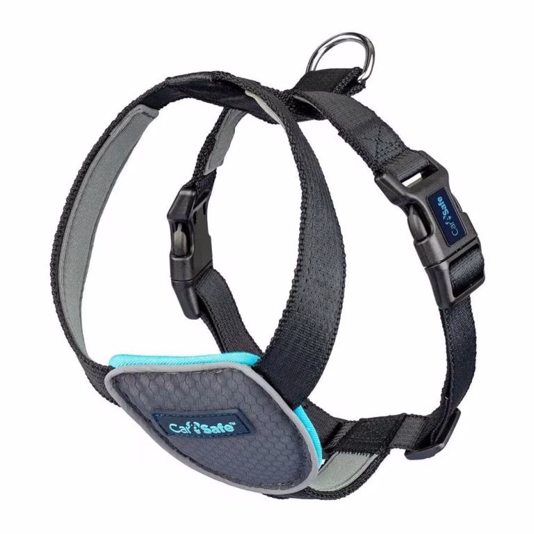 Company of Animals CarSafe bilsele