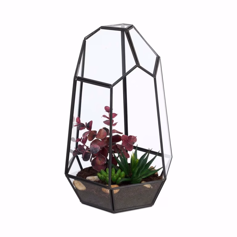 Geometrisk glasterrarium 25 cm til sukkulenter – bedste terrarium i test