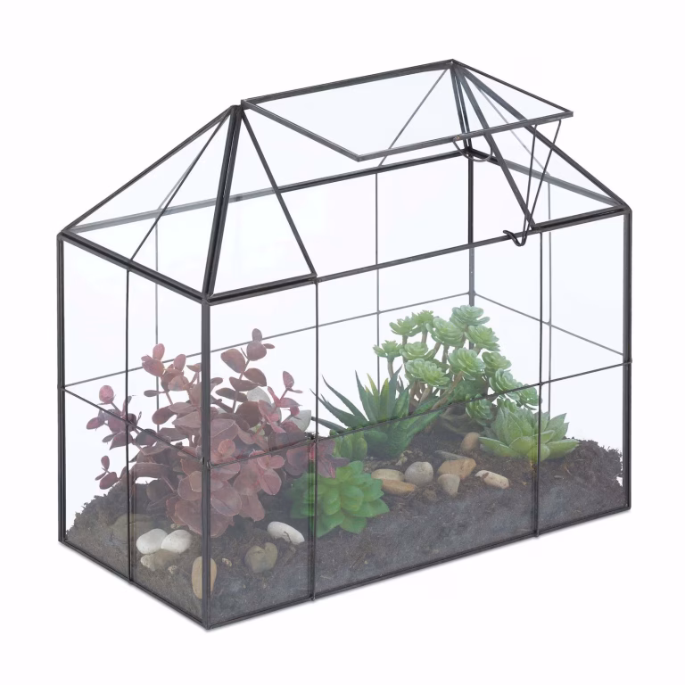 Glasterrarium til sukkulenter og luftplanter – bedste terrarium i test