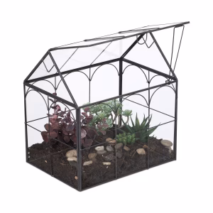 Glasterrariumhus til stueplanter – bedste terrarium i test