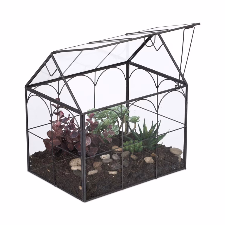 Glasterrariumhus til stueplanter – bedste terrarium i test
