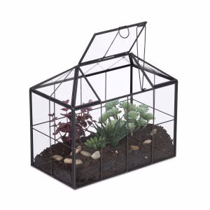 Husformet glasterrarium til planter – bedste terrarium i test