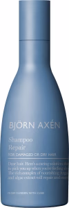 Björn Axén Repair Shampoo