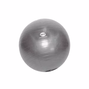 Bodytone Fitness Ball 55 cm – bedste fitnessbold i test