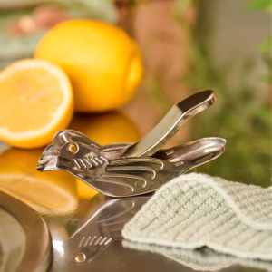 Citronpresser Fugleformet – bedste citronpresser i test