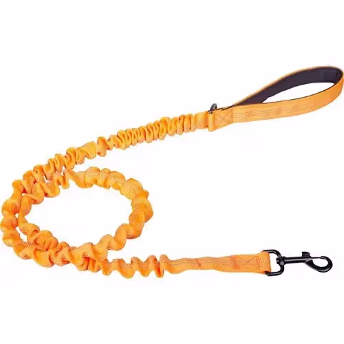 Companion Elastik Hundesnor 120 cm