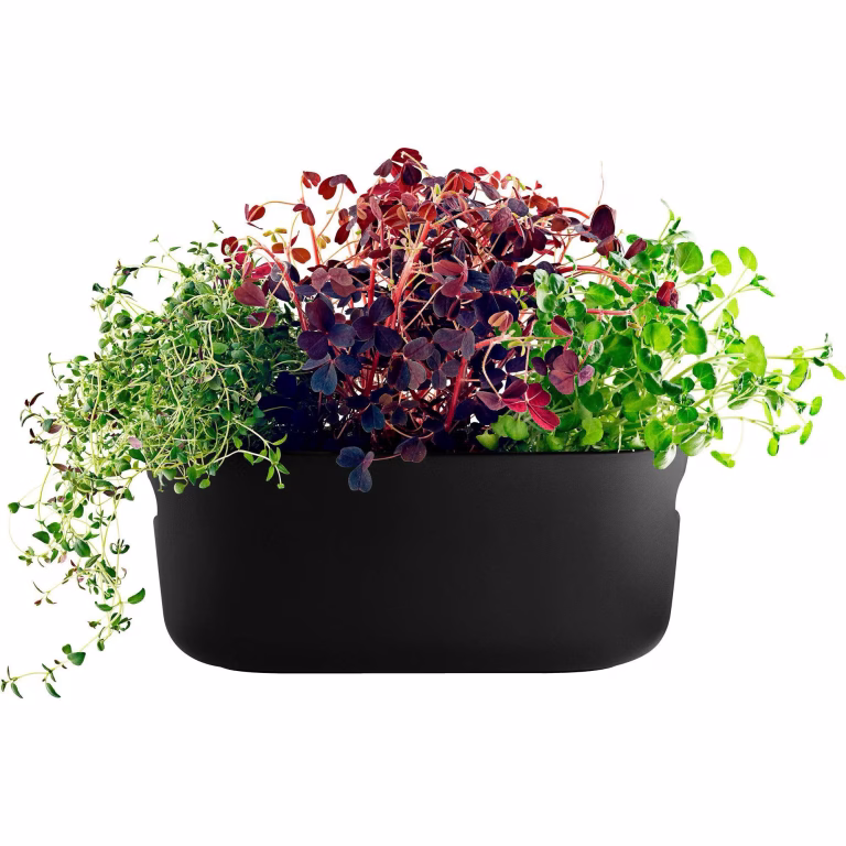 Eva Solo Selvvandende Herb Organiser – bedste urtepotte i test