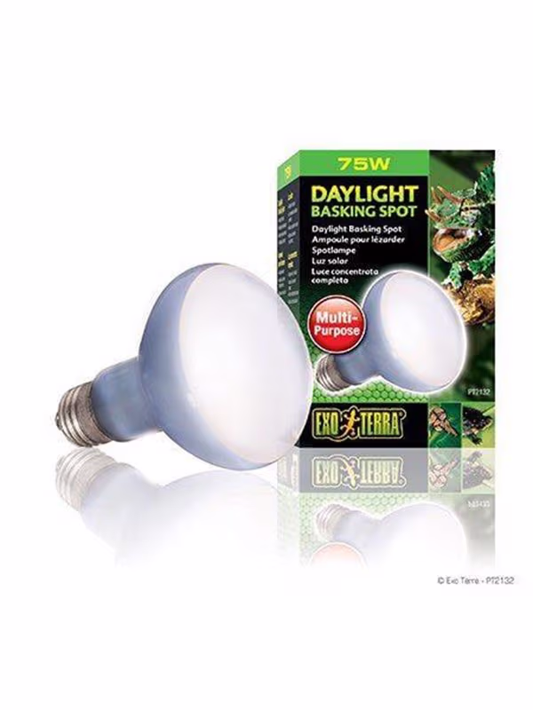 Exo Terra Daylight Basking Spot 75W – bedste terrarielampe i test