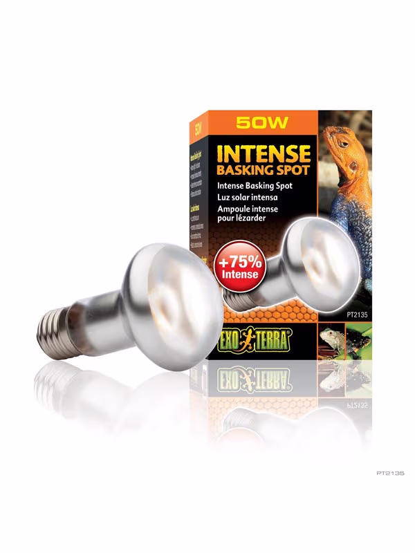 Exo Terra Sun Glo Intense Basking Spot 50W – bedste terrarielampe i test