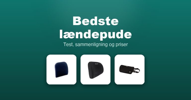Bedste lændepude 2026 – guide til de 12 bedste