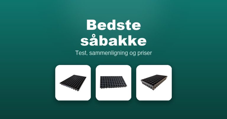 Bedste såbakke 2026 – guide til de 8 bedste