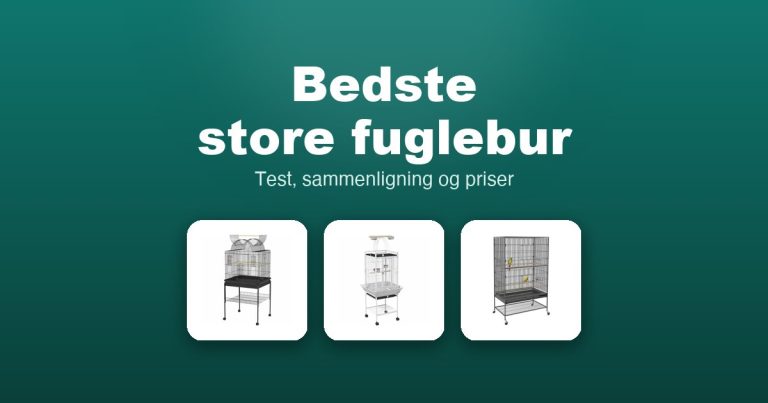 Bedste store fuglebur 2026 – guide til de 11 bedste