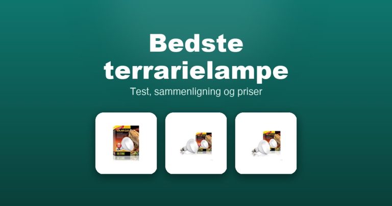 Bedste terrarielampe 2026 – guide til de 12 bedste