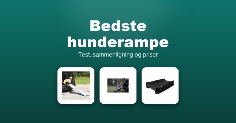 Bedste hunderampe 2026 – guide til de 13 bedste