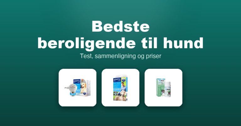 Bedste beroligende til hund 2026 – guide til de 11 bedste
