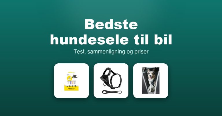 Bedste hundesele til bil 2026 – guide til de 12 bedste