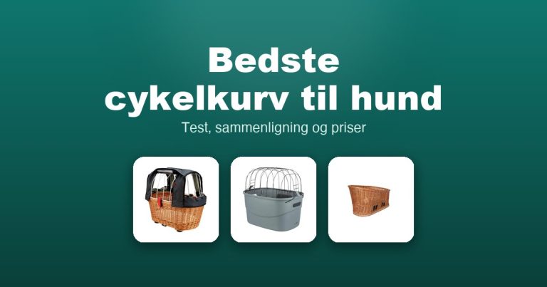 Bedste cykelkurv til hund 2026 – guide til de 8 bedste