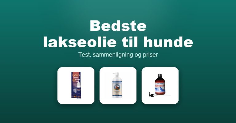 Bedste lakseolie til hunde 2026 – guide til de 12 bedste