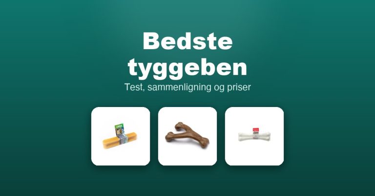 Bedste tyggeben 2026 – guide til de 14 bedste