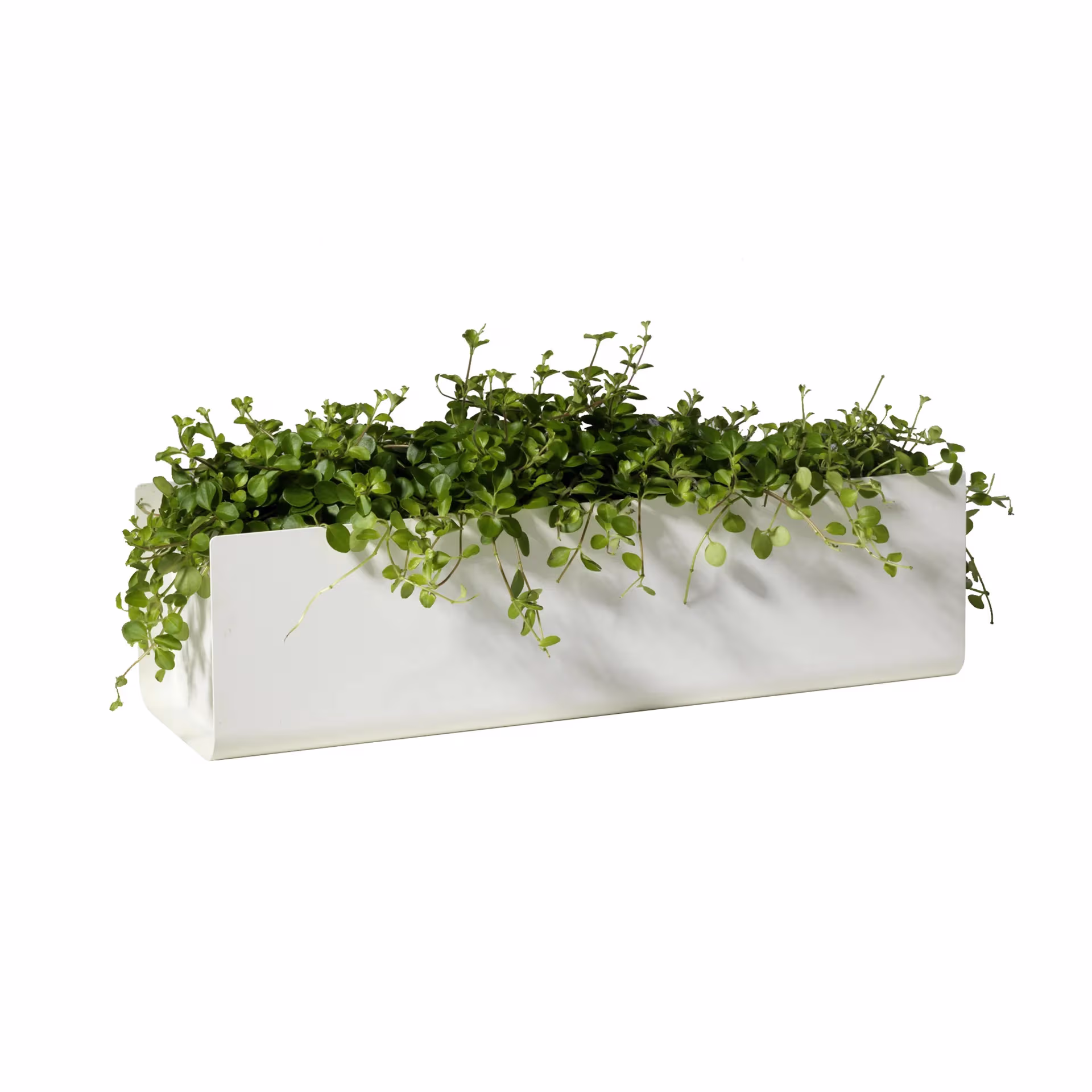 SMD Design Jorda Altankasse