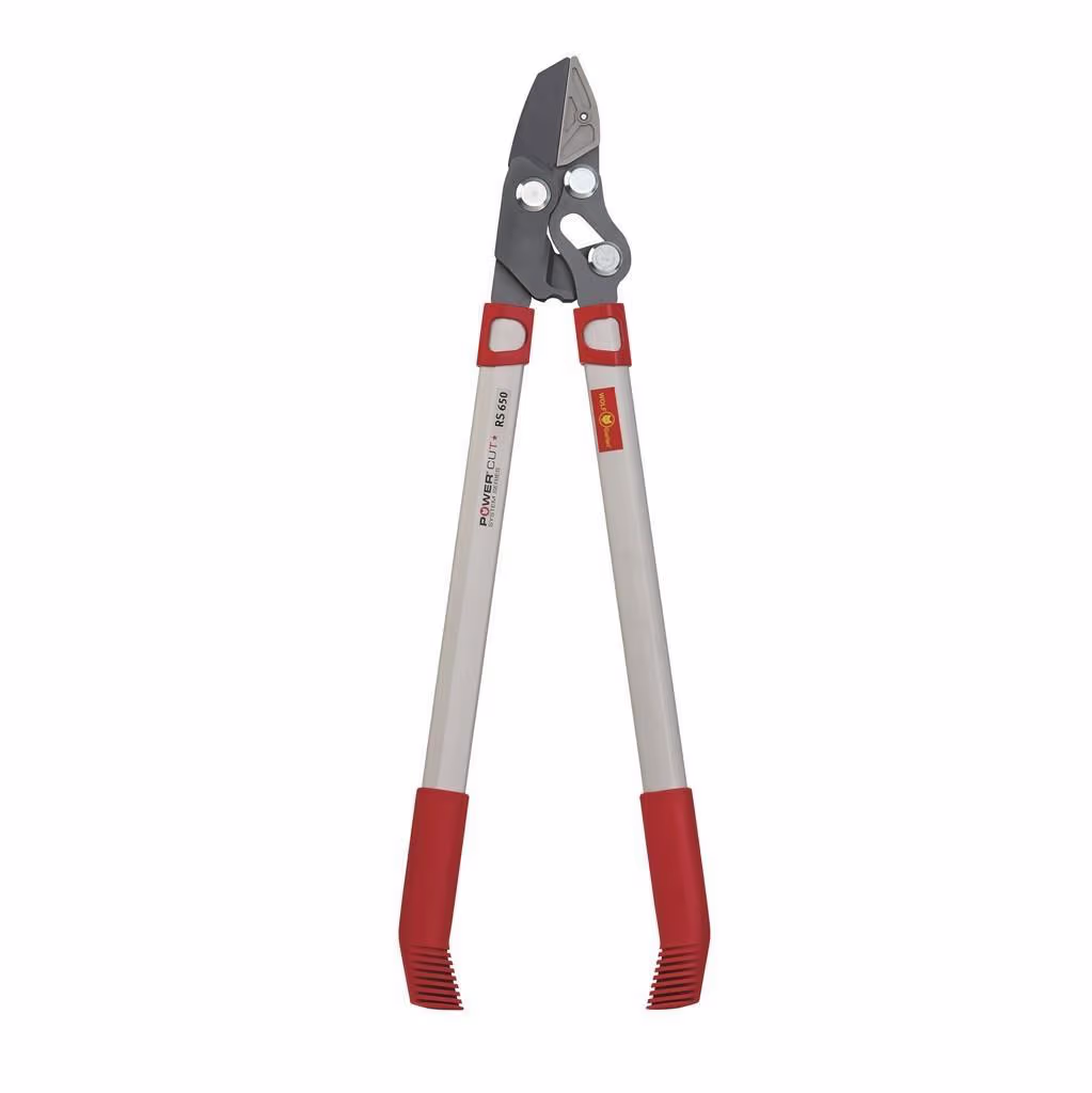 Wolf-Garten Power Cut RS 650 Ambolt