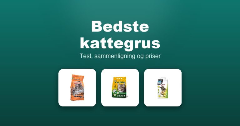 Bedste kattegrus 2026 – guide til de 11 bedste