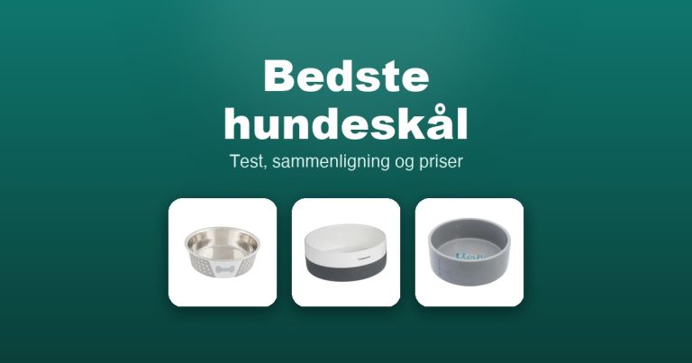 Bedste hundeskål 2026 – guide til de 11 bedste