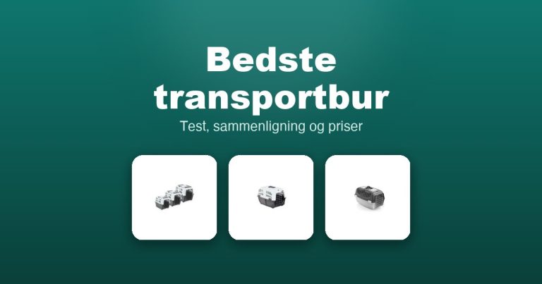 Bedste transportbur 2026 – guide til de 11 bedste