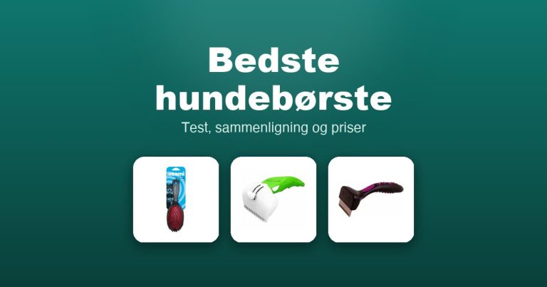 Bedste hundebørste 2026 – guide til de 12 bedste