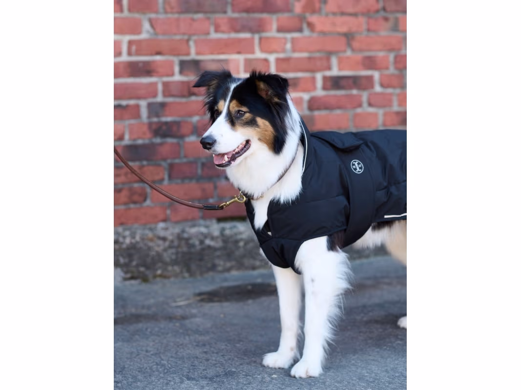 Jacson Rakel Hundedækken Sort 45 cm